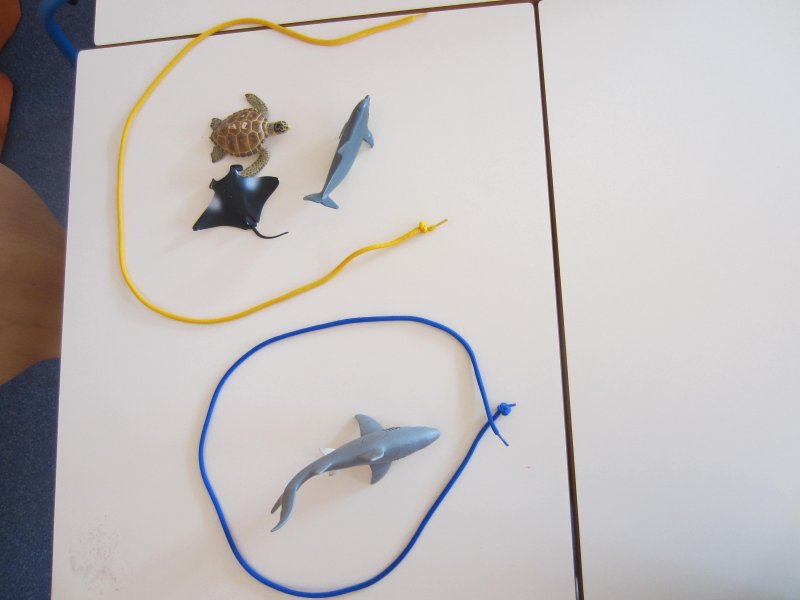 Notion:  ouvert, ferm&eacute;